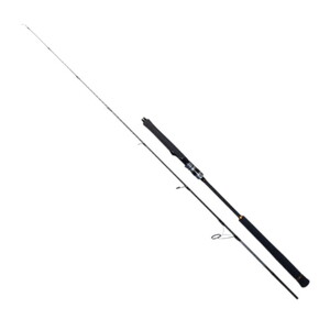 Ryuji SeaWolf-Sp 1.98m 30-150gr Jig Kamışı 2 Parça