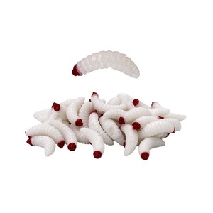 Sea Horse Worm  2 Cm White-Red Head 10 Pcs