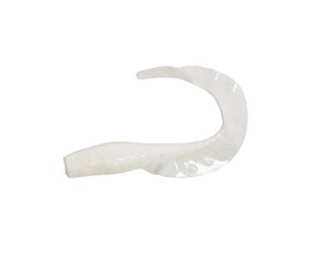  Sea Horse Prenses 2 Li Paket 6 Cm L04