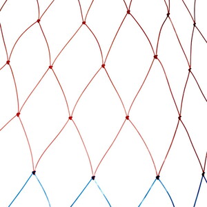  Sea Horse Kepçe Toru 60 Lık Renkli