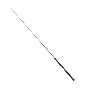 Sea Horse Exclusive 2,20 Cm Kamış
