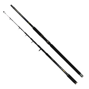  Sea Horse Achilles 4,00 100-200 Gr