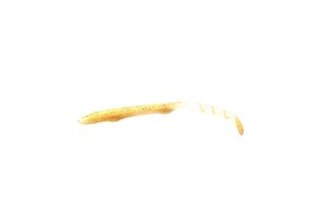 Sea Horse Silikon Zargana K.Balığı 10cm SS2 5li Pk