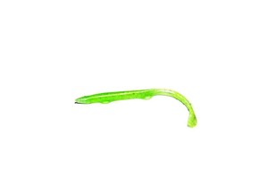 Sea Horse Zargana Köpekbalığı 10cm 5 Li Karışık