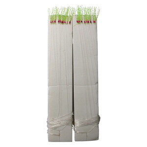 Sea Horse İstavrit Çaparisi  10 İğneli 2 Li Pkt