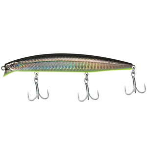 Daiwa SLS Vertice Z120F Suni Yem Clash Nıght