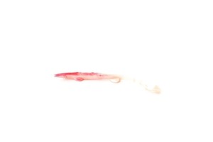 Sea Horse Silikon Zargana K.Balığı 10cm SRPS 5li
