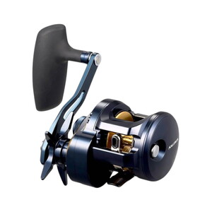 Daiwa 25 Saltiga 300HL Makine