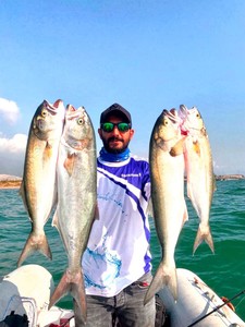  Sea Horse Güçlü Spin Kombinasyonu