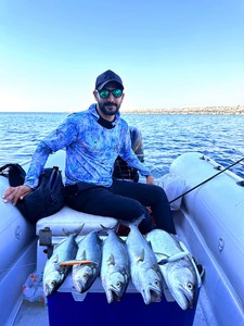 Sea Horse Güçlü Spin Kombinasyonu