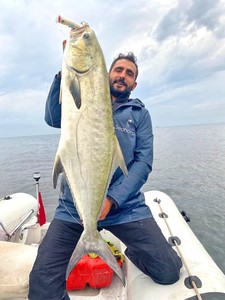  Sea Horse Güçlü Spin Kombinasyonu