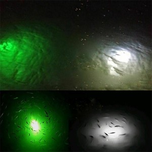  Sea Horse Eye Light V1-Uwl Green