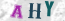 Güvenlik Resmi