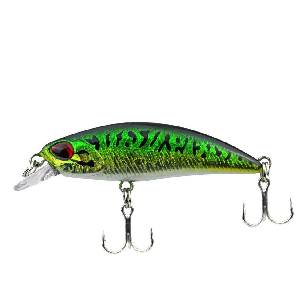 Green Mackerel