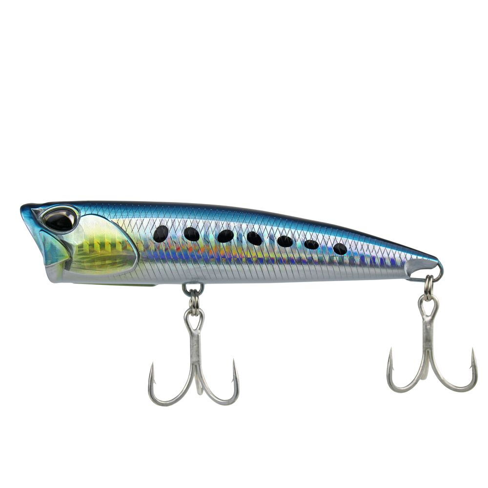 Classic Sardine