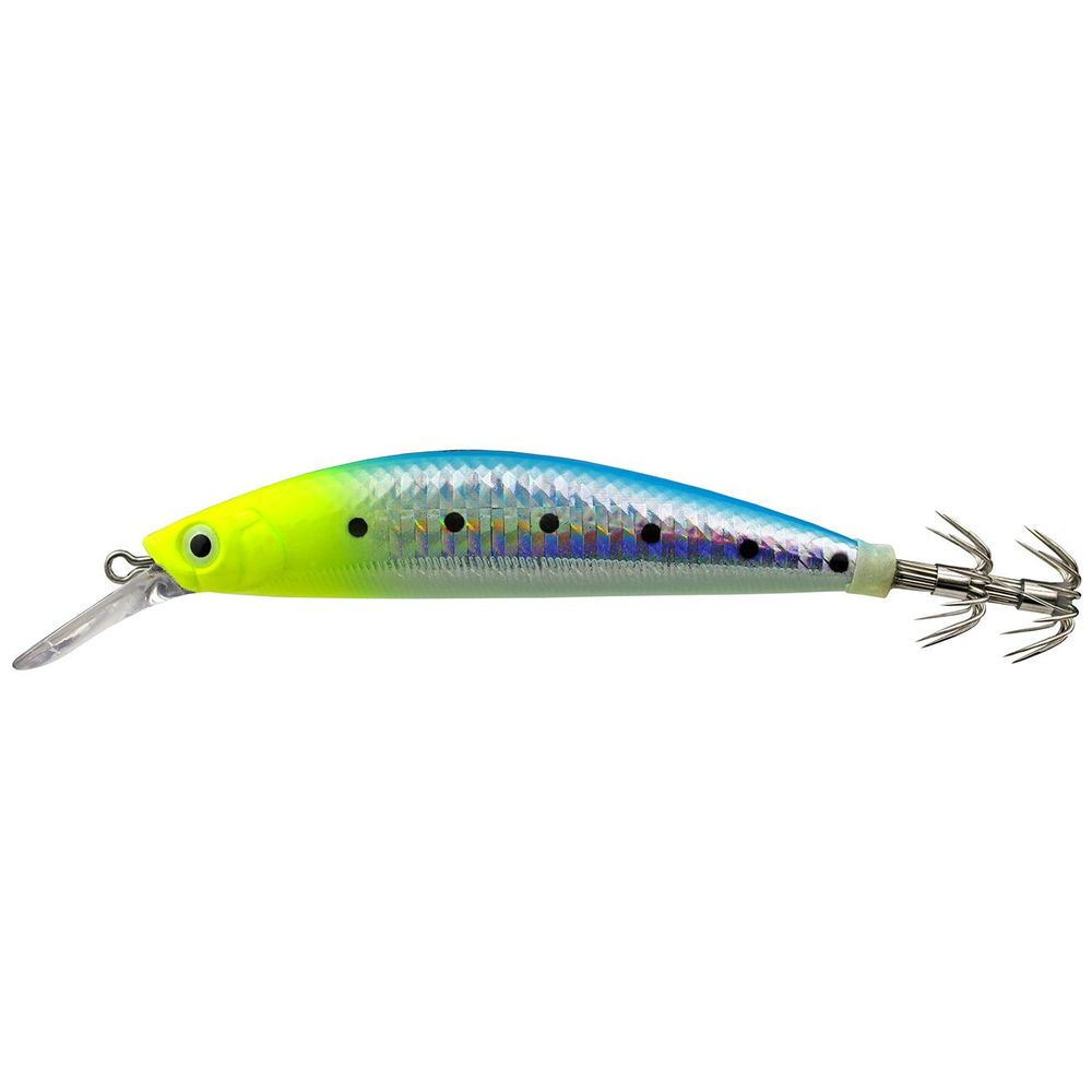 Sardine Spot