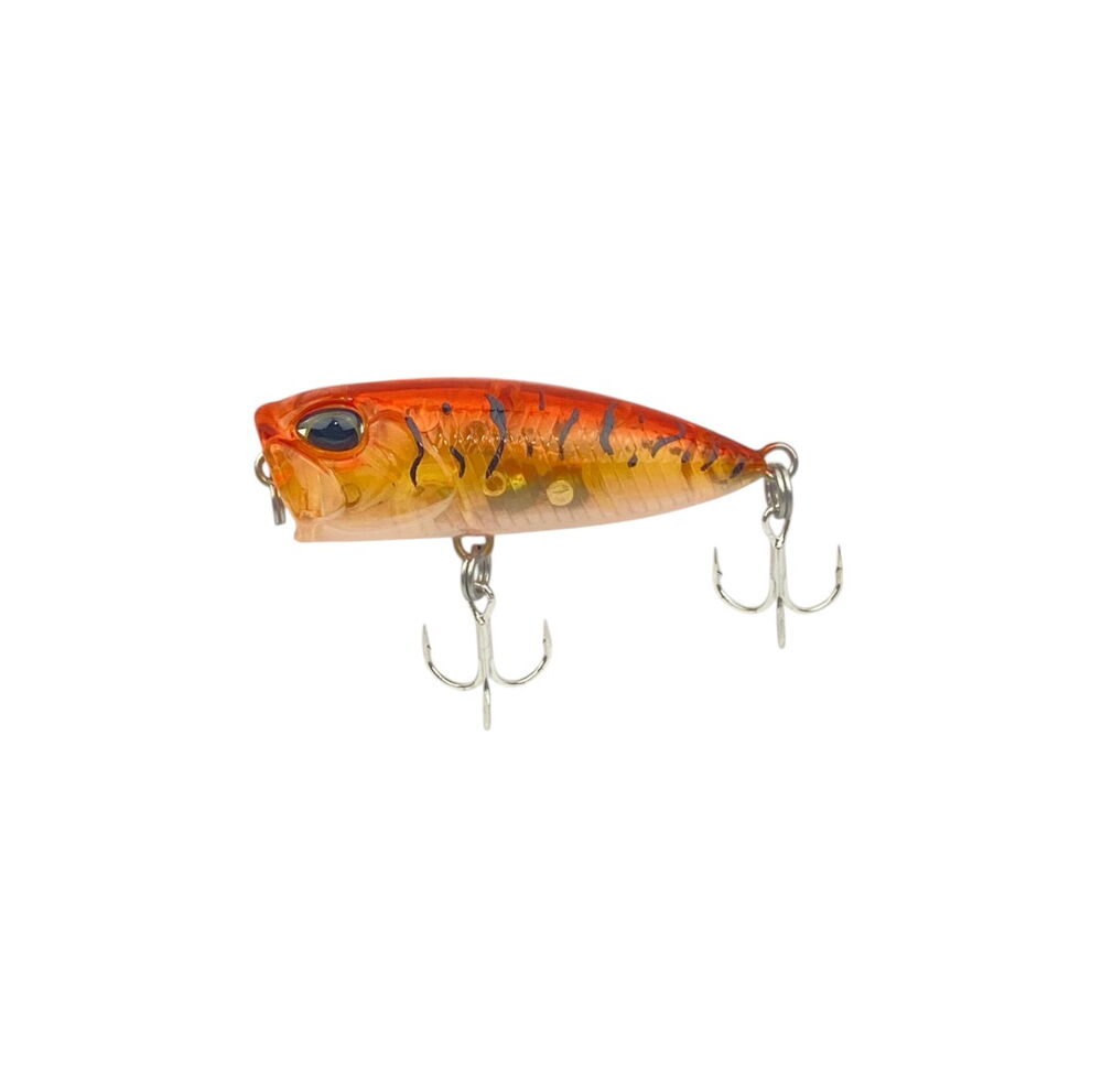 Honey Tiger Shrimp