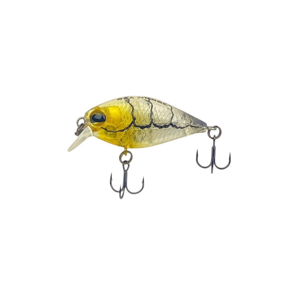 Nest Shrimp