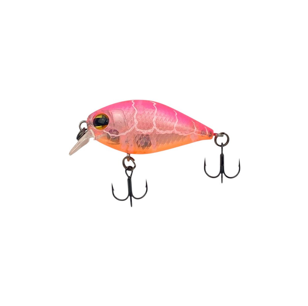 Sugar Shrimp